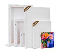 Lot de 6 toiles 100% pur coton pour peindre, kit de toile d'artiste blanche prétendue, 15 x 15 cm, 15 x 20 cm, 20 x 30 cm, petit châssis pour peinture acrylique à l'huile