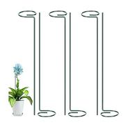 Lot de 6 tuteurs de plantes en métal pour fleurs de jardin en acier à tige unique pour légumes, tomates, amaryllis, orchidées, lys et roses (40,5 cm)