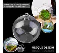 Lot de 6 Vase Suspendu de Verre Boule Pour Fleur Décoration Pots à suspendre Air Plante Terrariums de Jardin Maison Mariage