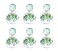 Lot de 6 vases à bulbes de propagation avec support à ventouse et crochets de suspension pour surveiller en temps réel la croissance des racines dans l'eau pour les plantes