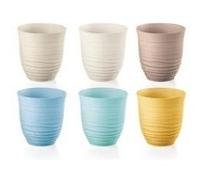 LOT 6 VERRES BAS