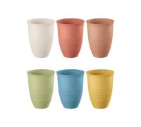 LOT DE 6 VERRES "TIERRA" Haut