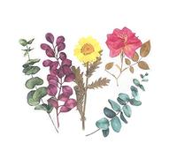 Lot de 60 autocollants pour plantes et fleurs en PET transparent autocollants pour scrapbooking, artisanat, bricolage, cahiers, journaux, murs, etc. (style 5, taille moyenne)