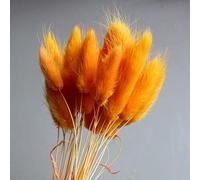 Lot de 60 fleurs naturelles séchées - Bouquet de fleurs naturelles séchées - Décoration de mariage ou d'intérieur - Queue de lapin - Véritables fleurs (orange jaune)