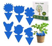 Lot de 60 pièges à insectes adhésifs pour lutter contre les moustiques de deuil, pour plantes d'intérieur, pot de fleurs, sûr, inodore, pour l'intérieur et l'extérieur