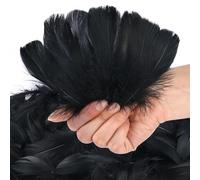 Lot de 600 plumes d'oie pour loisirs créatifs, 7,6 à 12,7 cm de couleurs assorties, plumes d'oie pour loisirs créatifs, attrape-rêves, costume, masque, chapeau, ailes d'ange, décoration - Noir