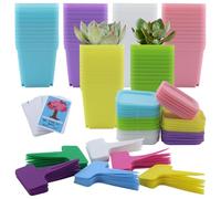 Lot de 66 petits pots de fleurs carrés en plastique de 7 cm avec 66 étiquettes et 50 cartes d'encouragement, pots de fleurs carrés en plastique pour jardin, bureau et balcon, coloré