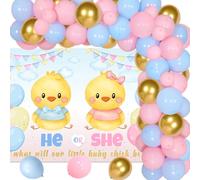 Lot de 67 décorations de fête sur le thème du poulet pour révéler le sexe du sexe « He or She What Will Our Little Baby Chick Be » - Kit de guirlande de ballons pour fête prénatale sur le thème du