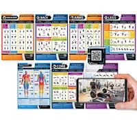 Lot de 7 affiches d'entraînement pour gym et renforcement musculaire | Affiches d'exercice laminées | 594 mm x 420 mm (A2) | Épaules, dos, poitrine, bras, jambes, noyau