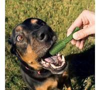 Lot de 7 jouets pour chien Nylabone Nutri Dent Med TU Vert TU