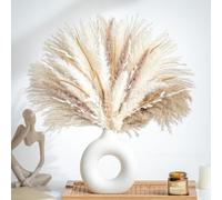 Lot de 70 bouquets de fleurs séchées naturelles d'herbe de la pampa bohème pour décoration d'intérieur, bouquet de phragmites pour mariage, arrangements floraux, décoration d'intérieur (70 pièces)