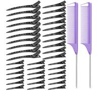 Lot de 70 pinces à cheveux en métal noir pour coiffer la section, 3 tailles, 2 peignes noirs pour tresses, pinces à cheveux crocodile pour rouleau à cheveux, salon de coloration