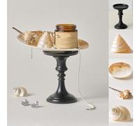 Lot de 8 Accessoires de Photographie au Design Original avec Coquillages et conques - Accessoires de décoration pour séance Photo