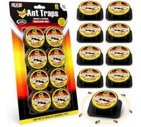 Lot de 8 appâts à fourmis pour l'intérieur - Appâts à fourmis et pièges à fourmis pour la maison