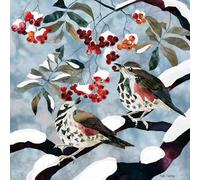 Lot de 8 cartes de Noël caritatives - Vendues au soutien du cancer de Macmillan - Motif faune - Redwings et Rowan - Fabriquées au Royaume-Uni - Écologiques