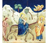 Lot de 8 cartes de Noël Macmillan Cancer Support [lutte contre le cancer] - La fuite en Égypte