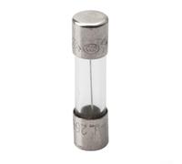 Lot de 8 fusibles à granulés de rechange pour Traeger pour PitBoss 5 A 250 V Tube en verre Protection contre les surintensités Installation facile Compatible avec LOUISIANA pour Z-GRILLS pour EMBERS