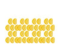 Lot de 8 pièges à guêpes et insectes réutilisables en plastique - 50 à 5 pièces