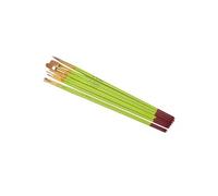 Lot de 8 Pinceaux "Apprentissage Acrylique" 30cm Vert