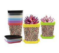 Lot de 8 pots de fleurs en plastique pour semis, outils de barbier, motif léopard culoral, pot de fleurs avec plateau, 8 couleurs