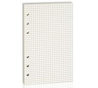 Lot de 80 feuilles A6 à 6 trous - Papier épais 100 GSM avec quadrillage plein, idéal pour journaux, prises de notes, planification et dessin. Compatible avec classeurs A6 à 6 anneaux.