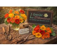 Lot de 80 graines à semer - Le Grenier d'Abondance - Fan de Capucines - 4 sachets individuels