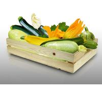 Lot De 80 Graines De Courgettes À Semer - Le Grenier D'abondance - Fan De Courgettes - 7 Variétés