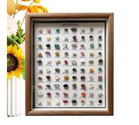 Lot de 80 pierres précieuses de la collection Rock - Collection of Crystals, Rocks and Minerals | Décoration d'intérieur polyvalente, grossier classique dans un cadre en bois pour homme