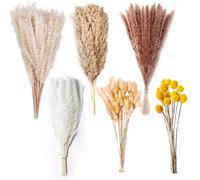 Lot de 85 herbes de la pampa séchées naturelles - Bouquet d'herbe de la pampa séchée et duveteux pour décoration d'intérieur, mariage, chambre, maison, fête - 44,5 cm
