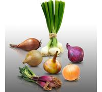 Lot De 850 Graines À Semer - Le Grenier D'abondance - Fan D'oignons - 8 Sachets Individuels