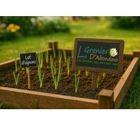 Lot de 850 graines à semer - Le Grenier d'Abondance - Fan d'Oignons - 8 sachets individuels