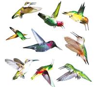 Lot de 9 Autocollants Superbes Stickers Electrostatiques Décoratifs au Motif Collision Oiseaux Permet d’éviter que Les Oiseaux Ne Se Cognent Dans Vos Fenêtres Décoration Murale à Suspendre