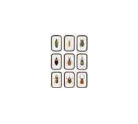 Lot de 9 cadres en bois de pin marron foncé, à fixer - Chehoma, Insectes - 45x30x1 cm