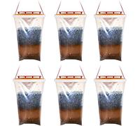 Lot de à Mouches Attrape Transparent (6 Pack)