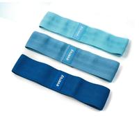Lot de bandes de résistance Evergy. Bande élastique Fitness. Bandes élastiques musculation. TRX Entraînement à la maison. Bandes élastiques de musculation. Minibands. Bandes de résistance Gym à la