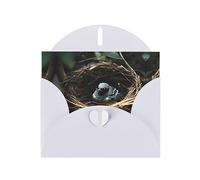 Lot de belles cartes de vœux pour toutes les occasions Motif nid d'oiseau