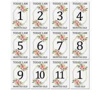 Lot De Cartes De Mois Pour Bébé, 12 Pièces, Cartes De Partage De Photos, Jalon Du Nouveau-Né, Ensemble Cadeau, Cartes Photo Amusantes, Dessin Animé, G99c