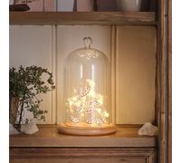 Lot de Cloche en Verre & Guirlande Micro LED Chauves-souris