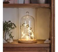 Lot de Cloche en Verre & Guirlande Micro LED Fantômes et Araignées