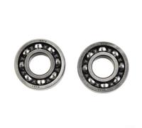 Lot de deux roulements de vilebrequin de rechange pour TS410 TS420 pour équipement d'avant 2013 OEM 9503 003 0351