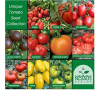 Lot de graines de tomates-10 variétés-Kit de démarrage de graines de tomates diverses-10 paquets-Graines de jardin Plantes