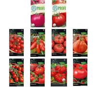 Lot de graines de tomates-20 variétés-Kit de démarrage de graines de tomates diverses-20 paquets-Graines de jardin Plantes