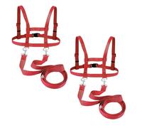 Lot de jouets (2 rouges)