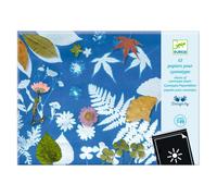 Lot de papier pour cyanotype