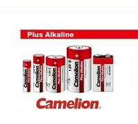 Lot de piles panaché Alcaline Camelion LR6 AA LR3 AAA R14 R20 9V (48 blisters)