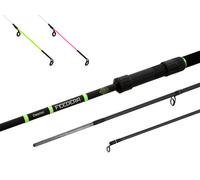 Lot de scions Delphin FEEDERA | S+H /2 pcs