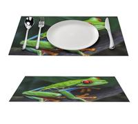 Lot de sets de table 1 pièce grenouille aux yeux rouges résistants à la chaleur pour table de salle à manger, sets de table de cuisine pour intérieur et extérieur 45 x 30 cm