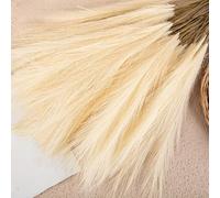 Lot de tiges de roseaux artificiels, style pampa, aspect fleurs séchées pour maison, vase, salon, mariage, décoration de table rustique (beige)