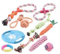 10 jouets pour chiens : à mâcher et lancer SweetyPet