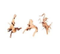 Lot décor aquarium bois flotté racine d'azalée taille 15 à 20 cm formes aléatoires, support pour mousses aquatiques, élément naturel d'aquascaping pour aménager votre bac à poissons domestique (4)